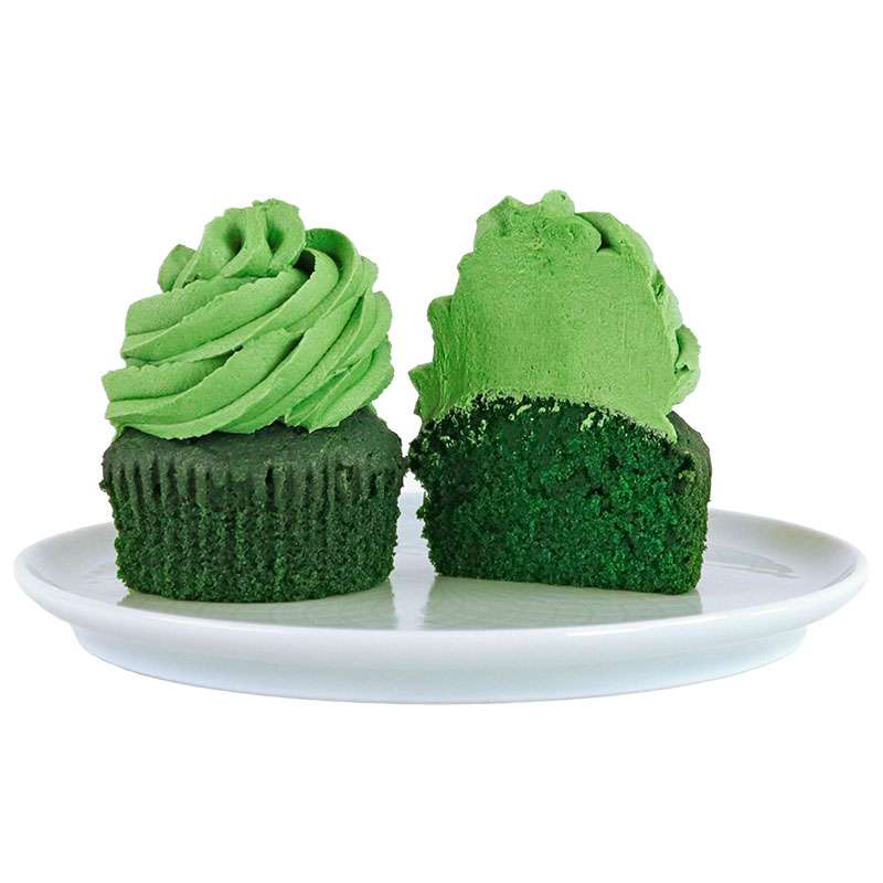 Colorante alimentario verde musgo - 25g - PME