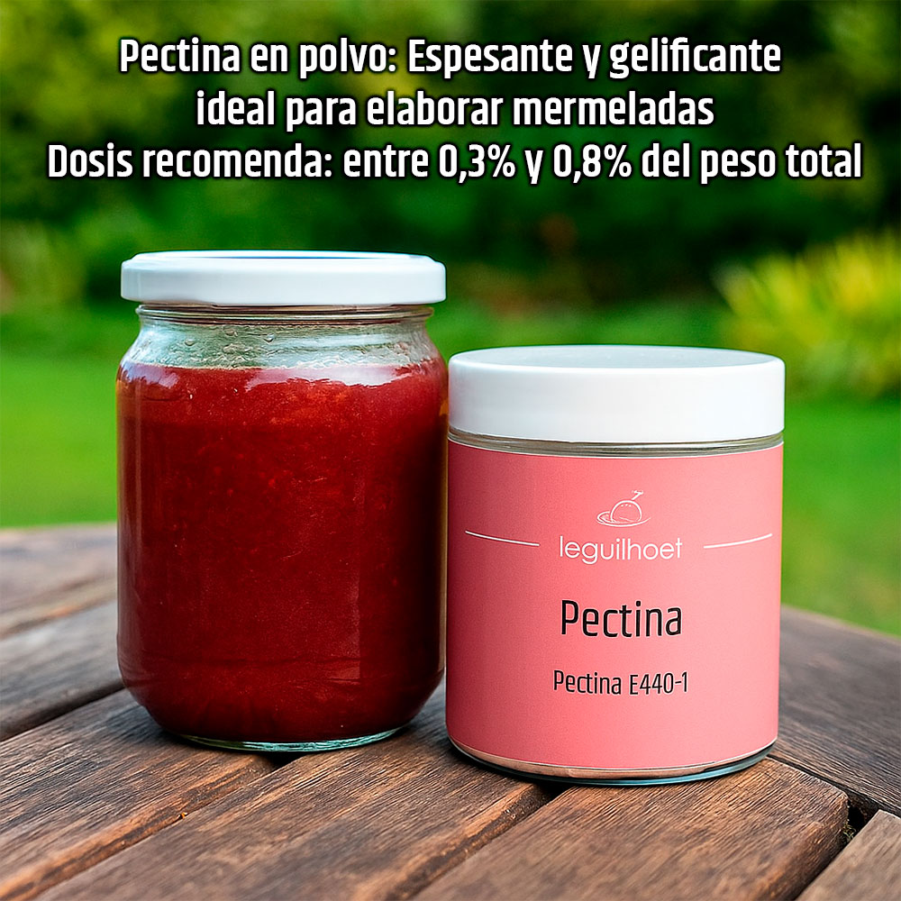 Pectina - 160 g - Laguilhoat