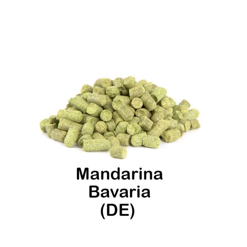 Lúpulo Mandarina Bavaria pellet 2023 - 50g - Laguilhoat