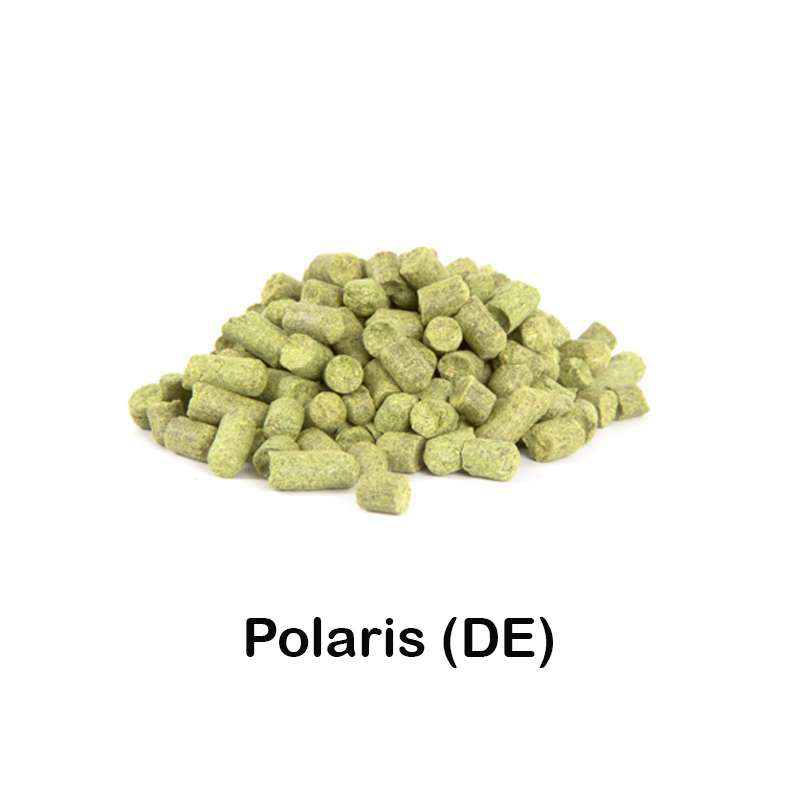 Lúpulo Polaris en pellets 2021 - 100 g