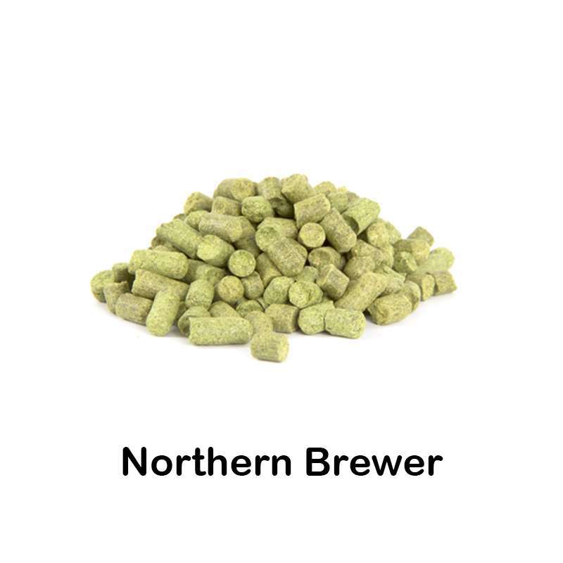 Lúpulo Northern Brewer en pellet 2023 - 50g - Laguilhoat