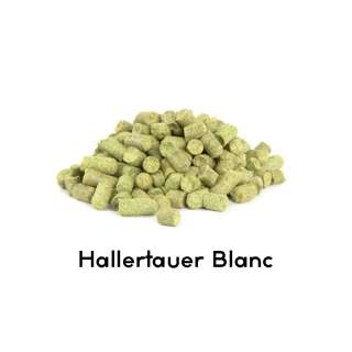 Lúpulo Hallertauer Blanc 2023 - 250g