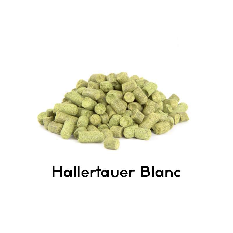 Lúpulo Hallertauer Blanc 2023 - 100g - Laguilhoat