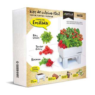 Kit de cultivo fácil 3 plantas para ensaladas