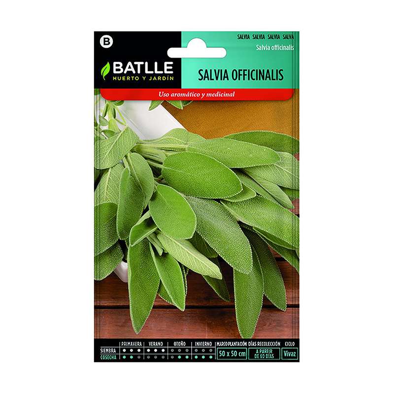Semillas de Salvia Officinalis - Batlle