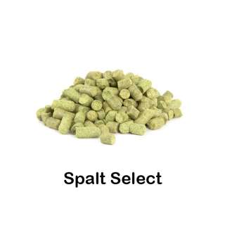 Lúpulo Spalt Select en pellet 2021 - 250g