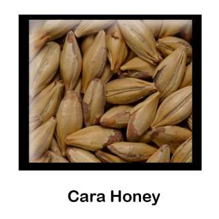 Malta Cara Honey - 2,5Kg - Molturada