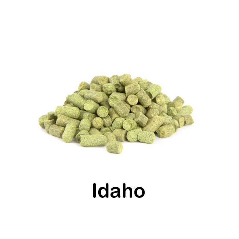 Lúpulo Idaho en pellet 2021 - 100 g - Laguilhoat