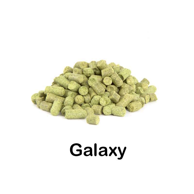 Lúpulo Galaxy en pellet 2023 - 250g - 