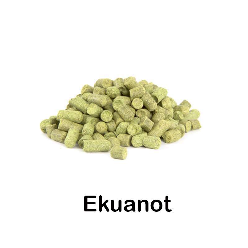 Lúpulo Ekuanot en pellets 2023 - 100g - Cocinista