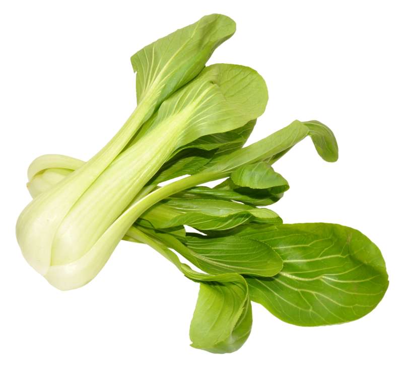 Pak Choi