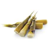 Brotes de bambú