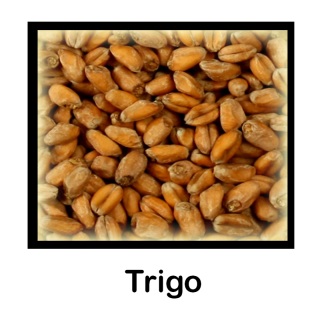 Malta de Trigo - 2,5 Kg Entera