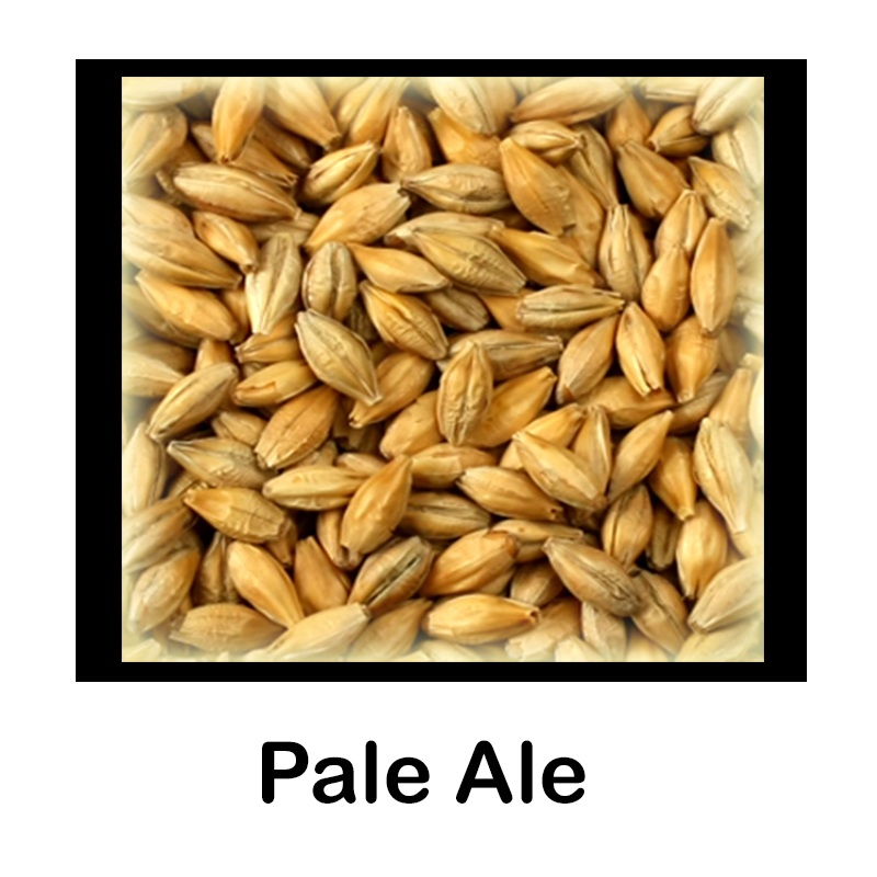 Malta Pale Ale - 2,5 Kg Entera - Castle Malting