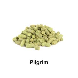 Lúpulo Pilgrim en pellets 2022 - 100 g