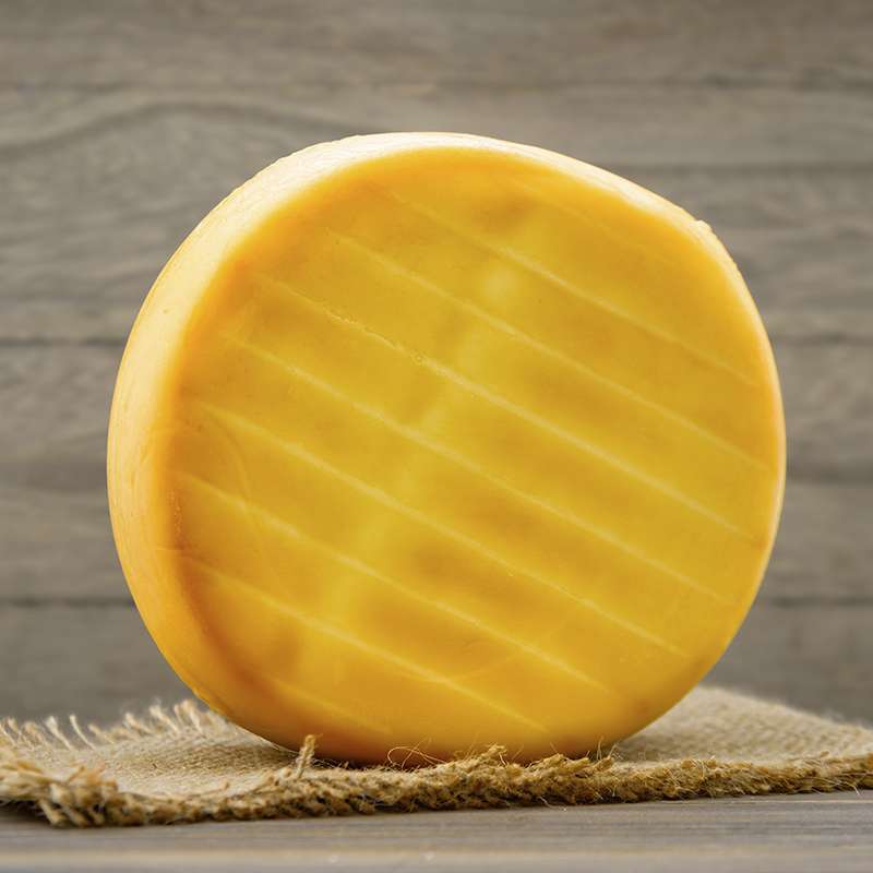 Fundamentos de la elaboración del queso